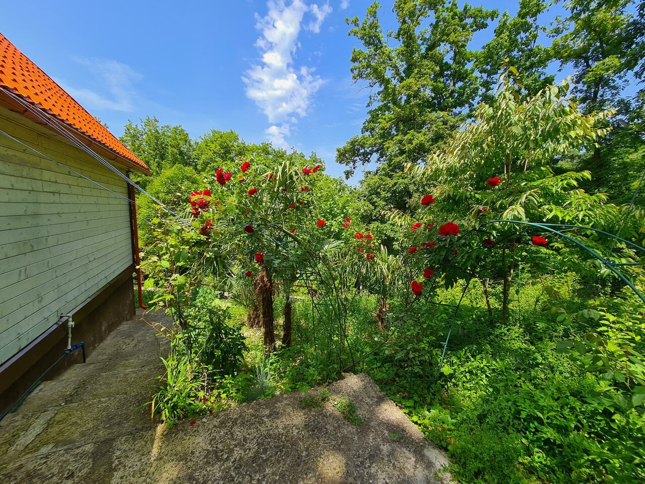 Мини-отель Оранжевое Солнце Лазаревское-82