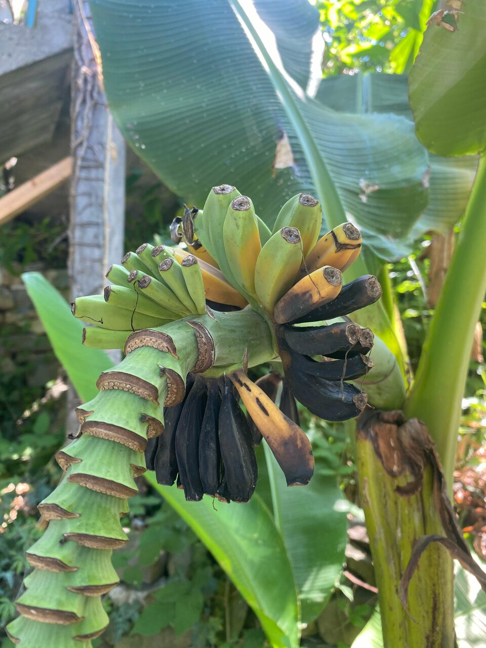 Мини-отель Оранжевое Солнце Лазаревское-224