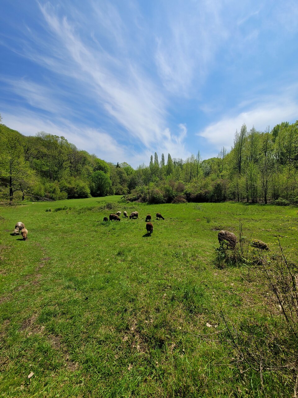 Мини-отель Оранжевое Солнце Лазаревское-208