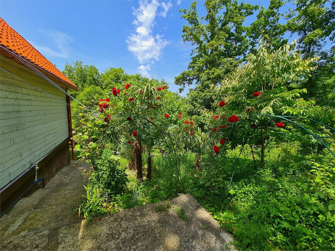 Мини-отель Оранжевое Солнце Лазаревское