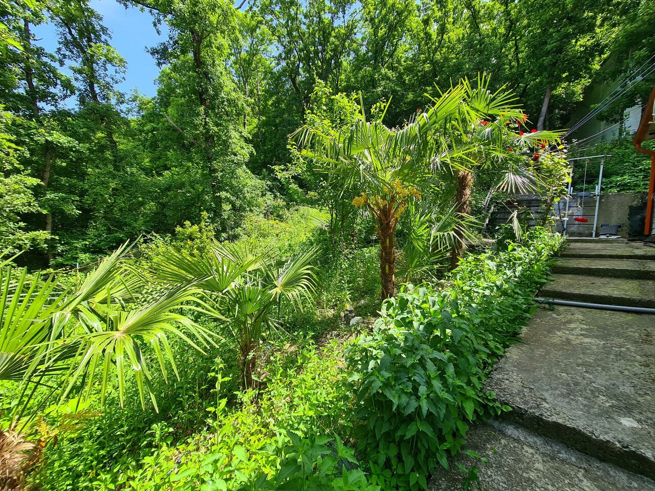 Мини-отель Оранжевое Солнце Лазаревское-89