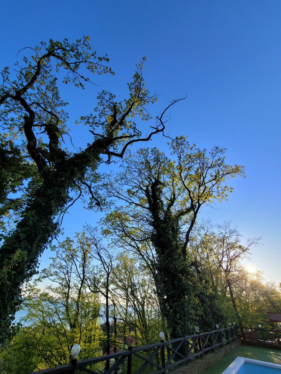 Мини-отель Оранжевое Солнце Лазаревское-230