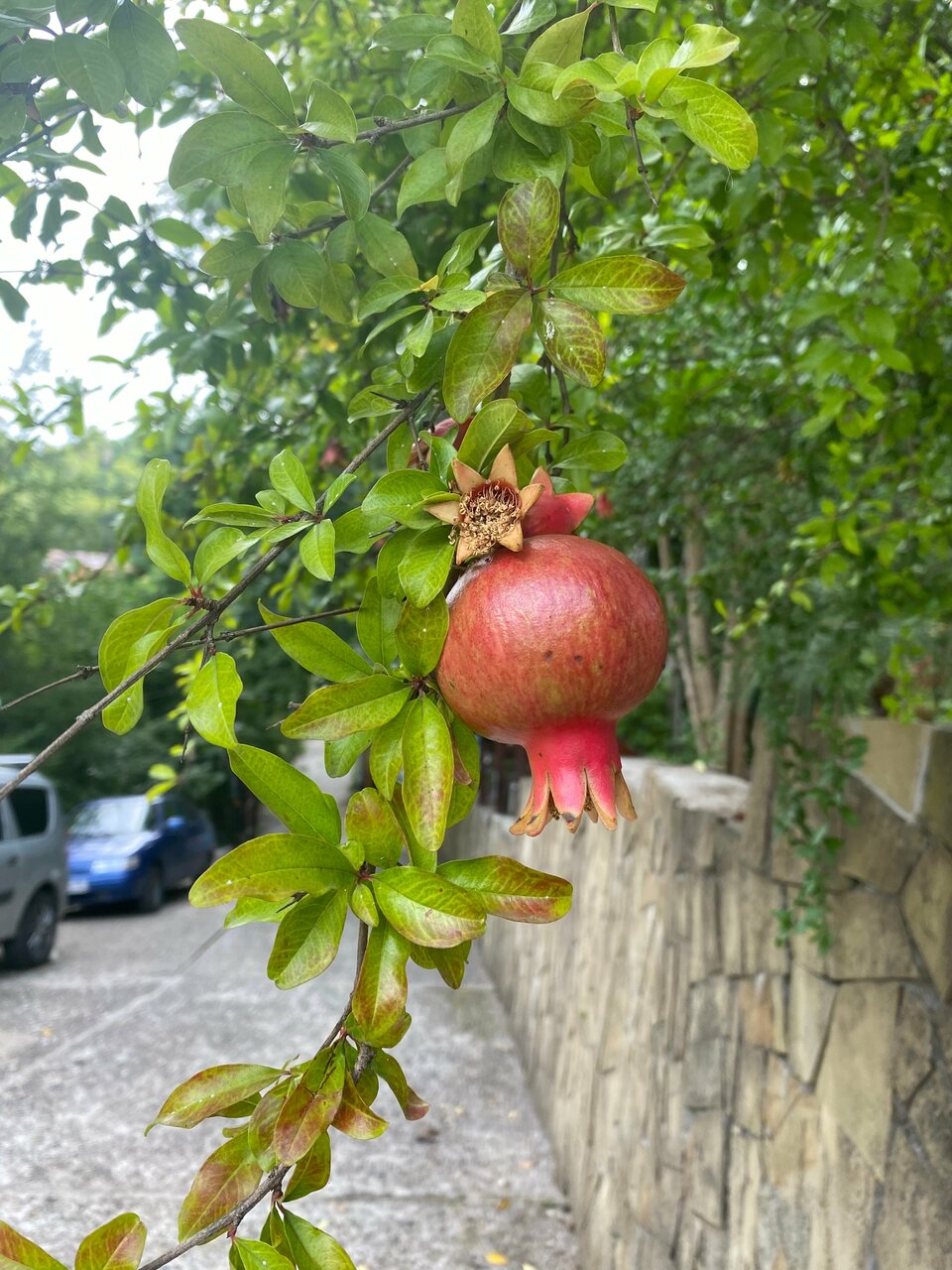 Мини-отель Оранжевое Солнце Лазаревское-211