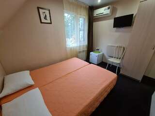 Мини-отель Оранжевое Солнце Лазаревское Двухместный номер (1 или 2 этаж, 10 м²)-2