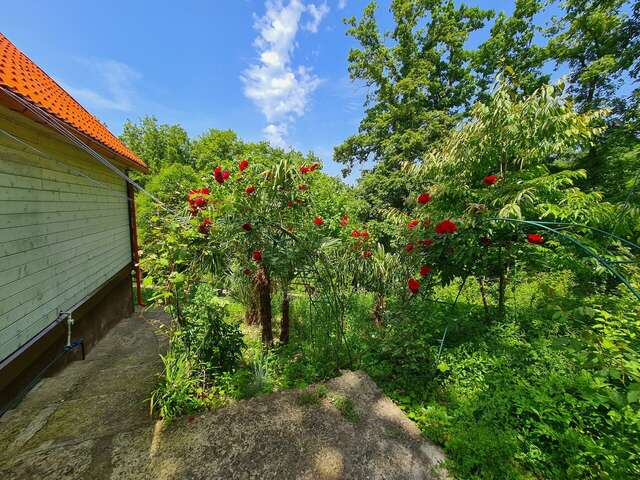 Мини-отель Оранжевое Солнце Лазаревское-81