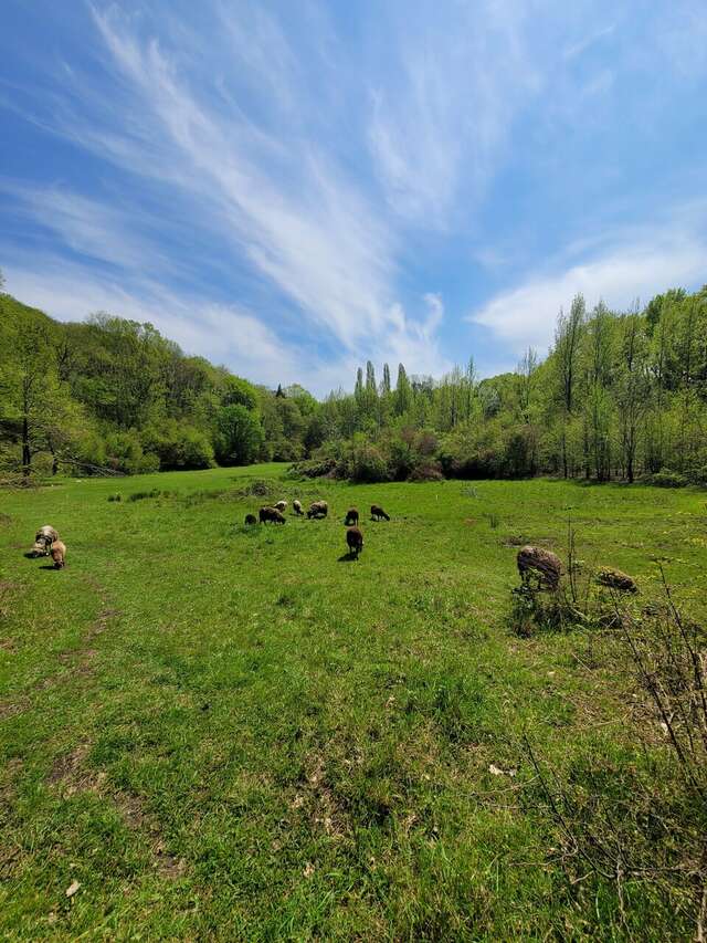 Мини-отель Оранжевое Солнце Лазаревское-207