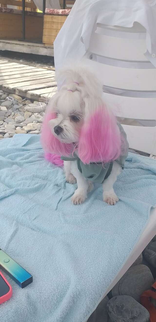 Мини-отель Оранжевое Солнце Лазаревское-220