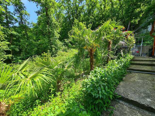 Мини-отель Оранжевое Солнце Лазаревское-88