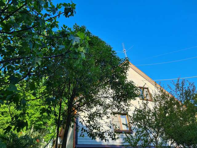 Мини-отель Оранжевое Солнце Лазаревское-90